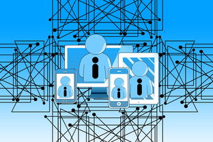 9游-中国青少年篮球发展政策实施与推广策略，青少年篮球发展现状及对策研究