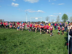 9游app-全国青少年劳动体育竞赛各项赛事激烈进行，全国青少年劳动体育竞赛各项赛事激烈进行的原因